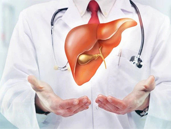 Can S-Acetyl-L-Glutathione Powders Help with Liver Health and Functions?